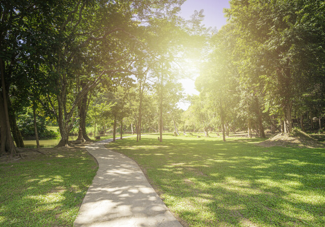 IGA Park